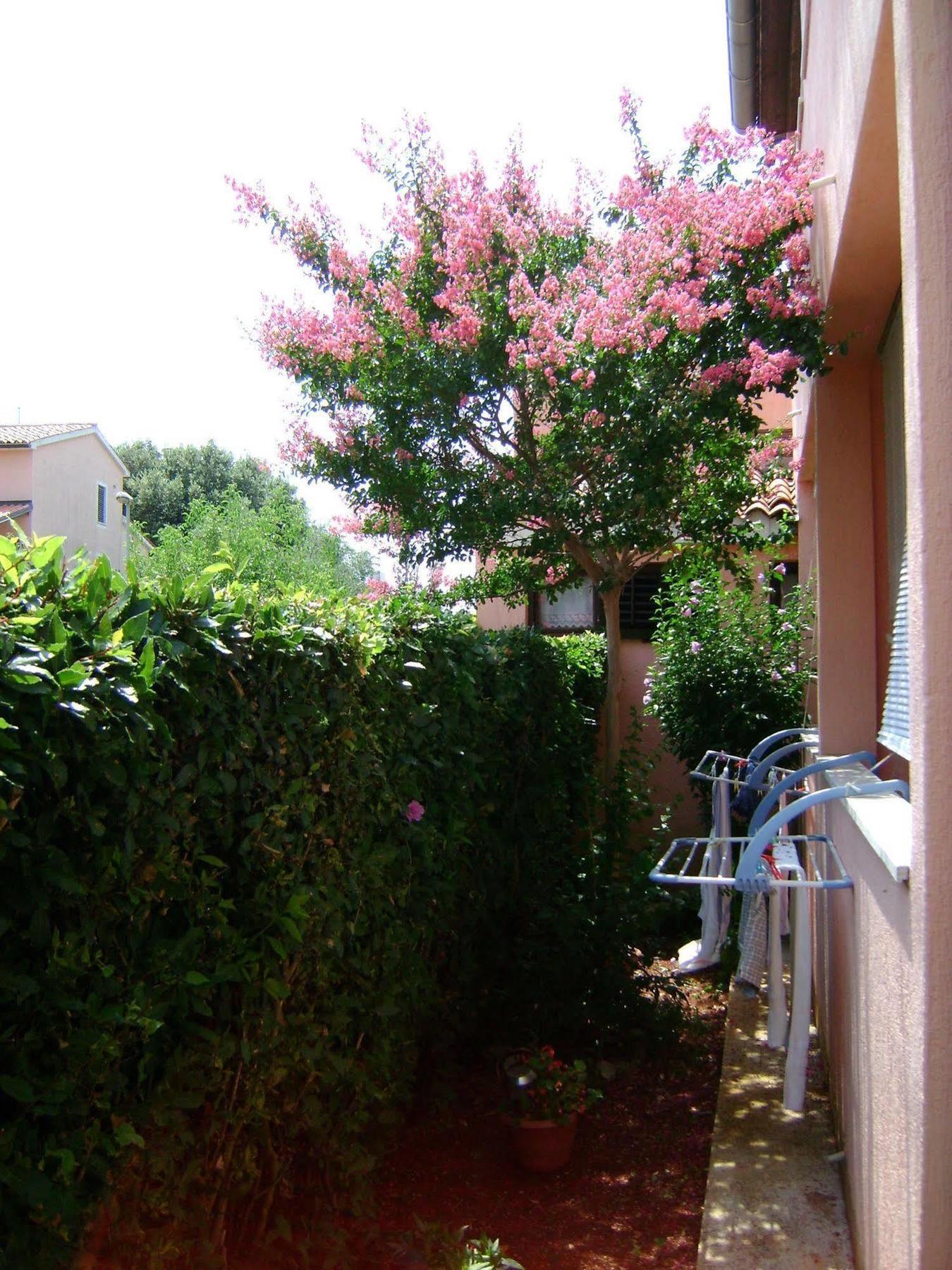 Apartmani Romano * Rovinj